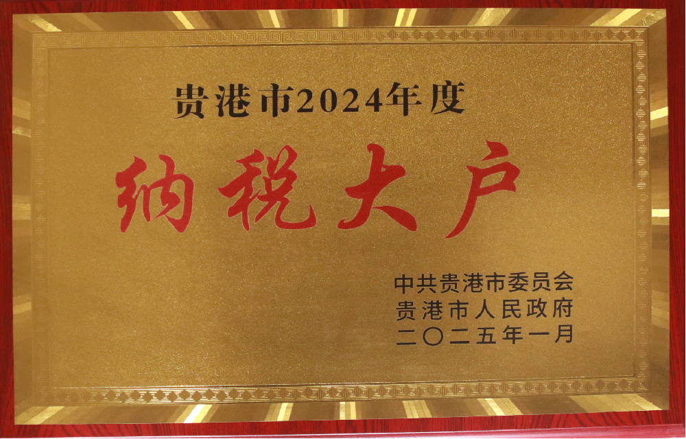 1.貴港市納稅2024_用.png